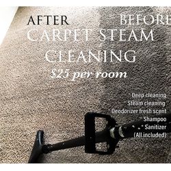 Carpet Deep Steamer SPECIAL price 