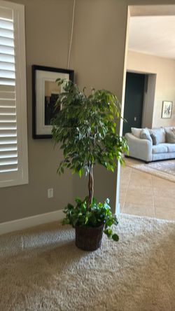 House plant artificial