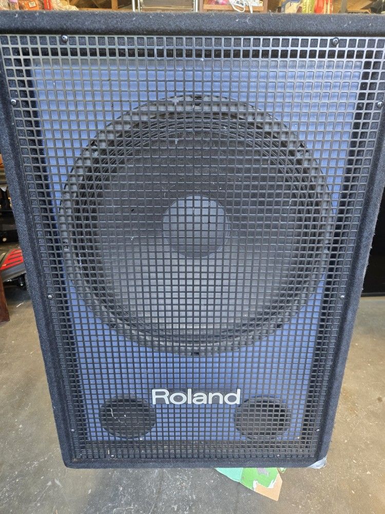Roland SSW-351 Subwoofer