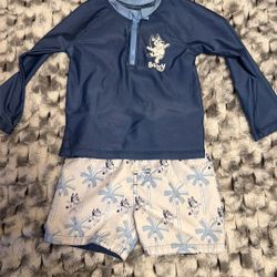Bluey Swimsuit 