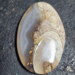 Fossil Cabochon