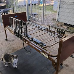 Hospital Bed Patient Wlectric