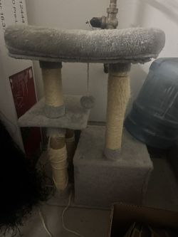 Cat Tree