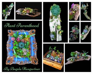 Custom Driftwood Succulent Centerpieces & More