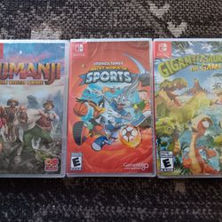 Nintendo Switch (Read Description)