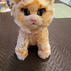 Captain Marvel Cat