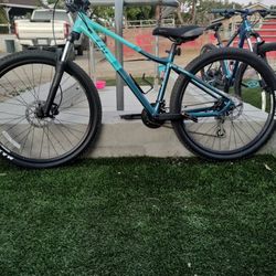 Mountain Girl Liv Bike Small 