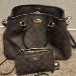 Coach Purse And Wallet