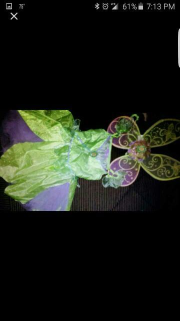 tinkerbelle costume with wings