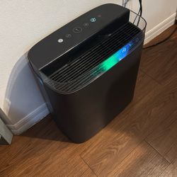 Amazing Air Purifier Honeywell