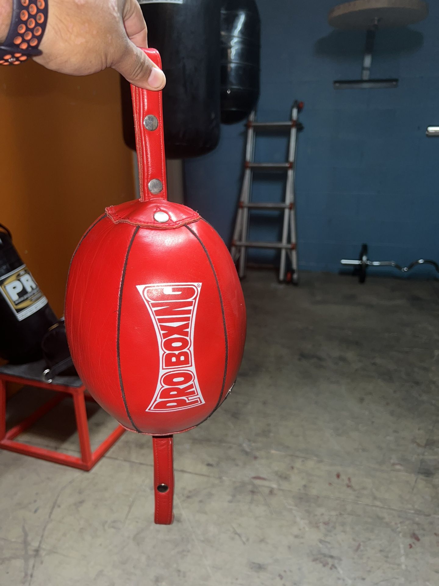 Boxing Gym For Sale