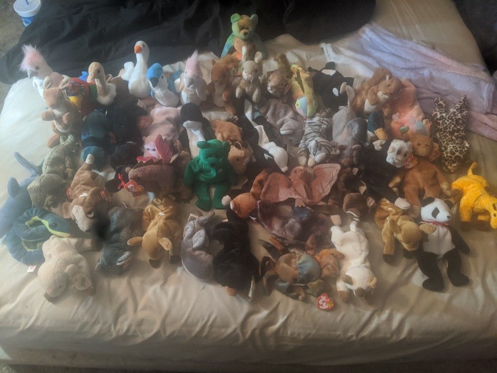 Beanie babies lot