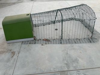 Eglu chicken coop and run