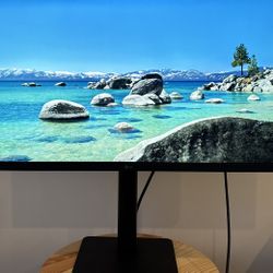 LG 24" UltraFine 4K UHD IPS Monitor (24MD4KL-B) - Excellent Condition