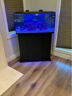 Fluval flex marine 32.5 gallon