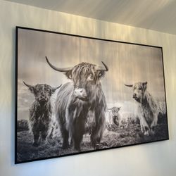 Highland Cow Framed Art