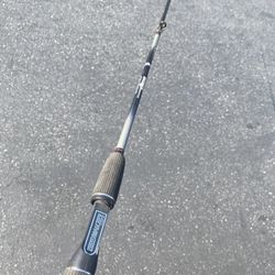 Fishing Rod