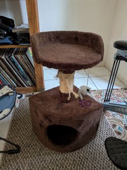 Free small cat tree