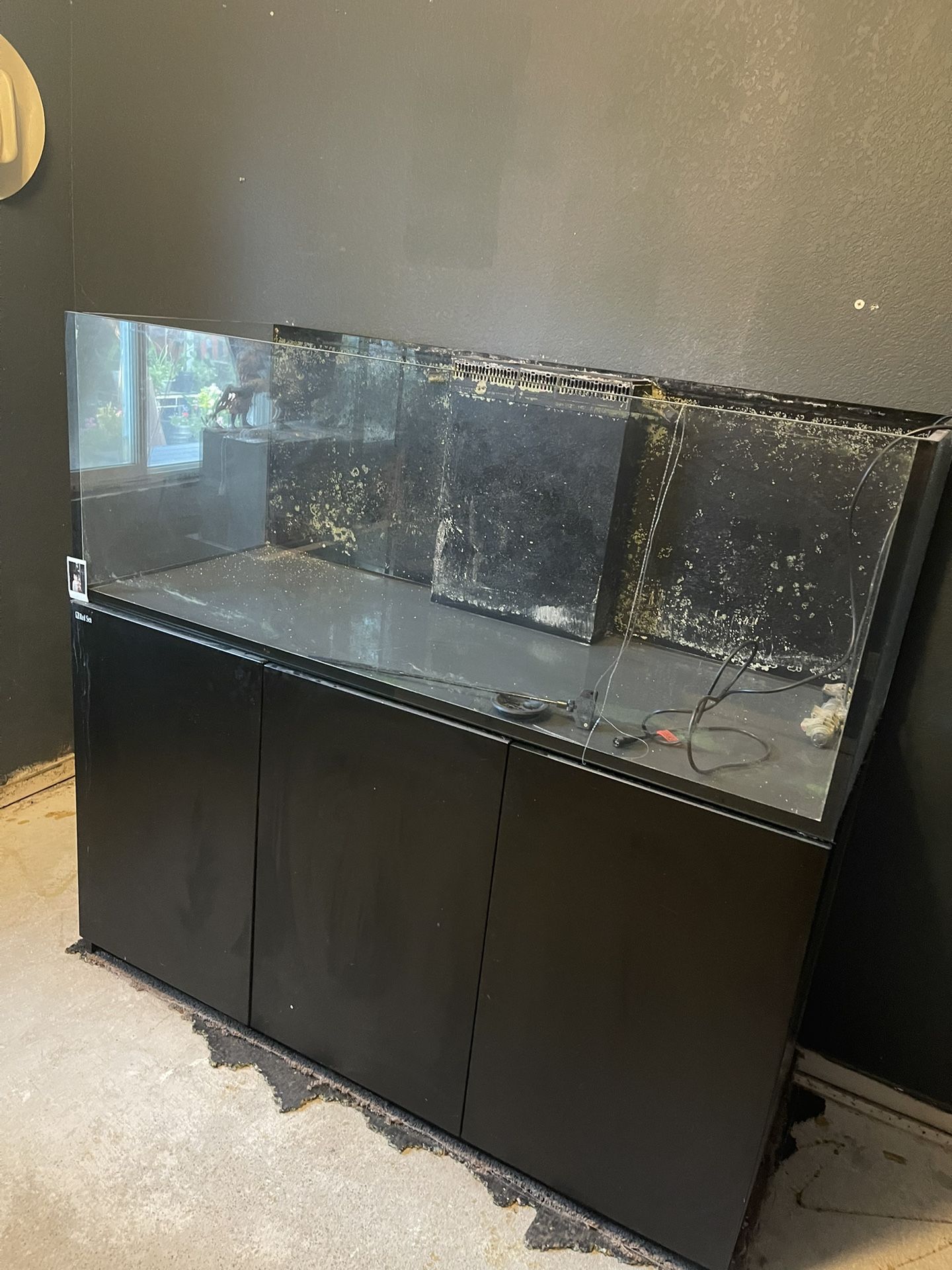 150 Gallon Aquarium 