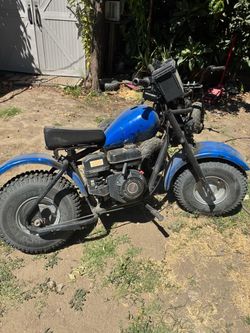 Hawg Ty mini bike