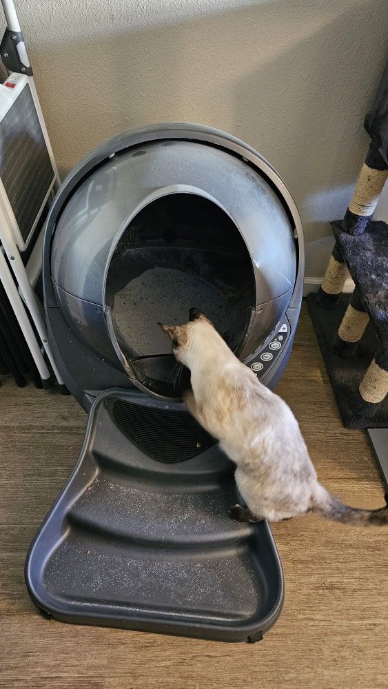 Litter Robot 3 (Works Completely Fine) 