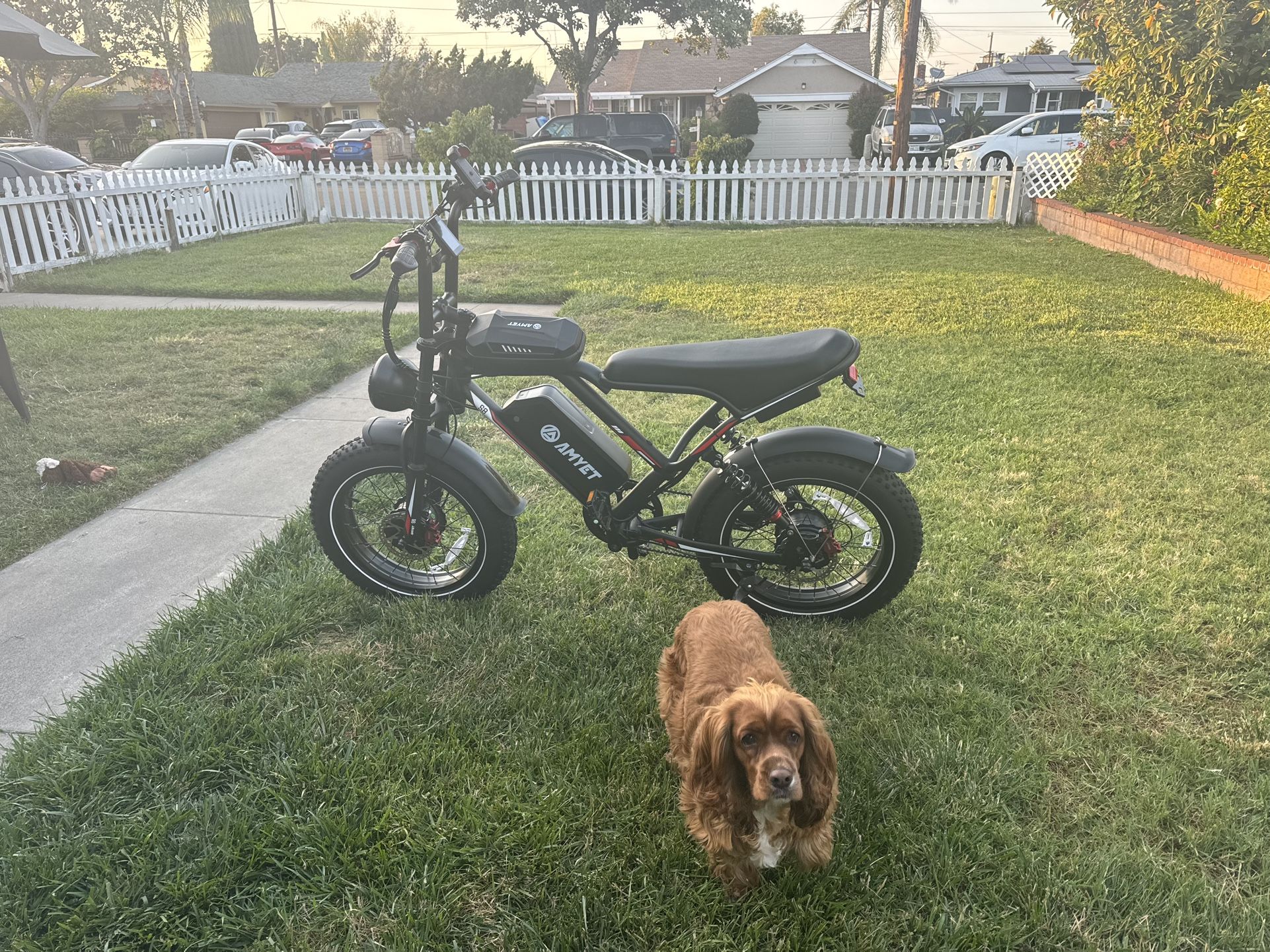 E-bike Duel Motor 