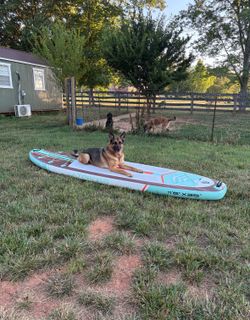 Paddleboard