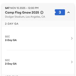 2 GA 2-day Tickets For Camp Flog Gnaw 