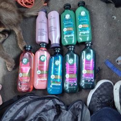 Shampoo & Conditioner 