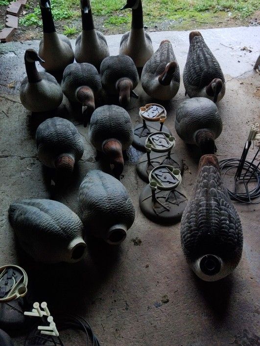 Goose Decoys