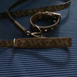 Fendi XS Collar And Leash 