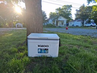 Fish cooler