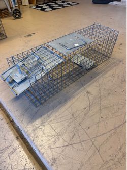 Animal trap cage