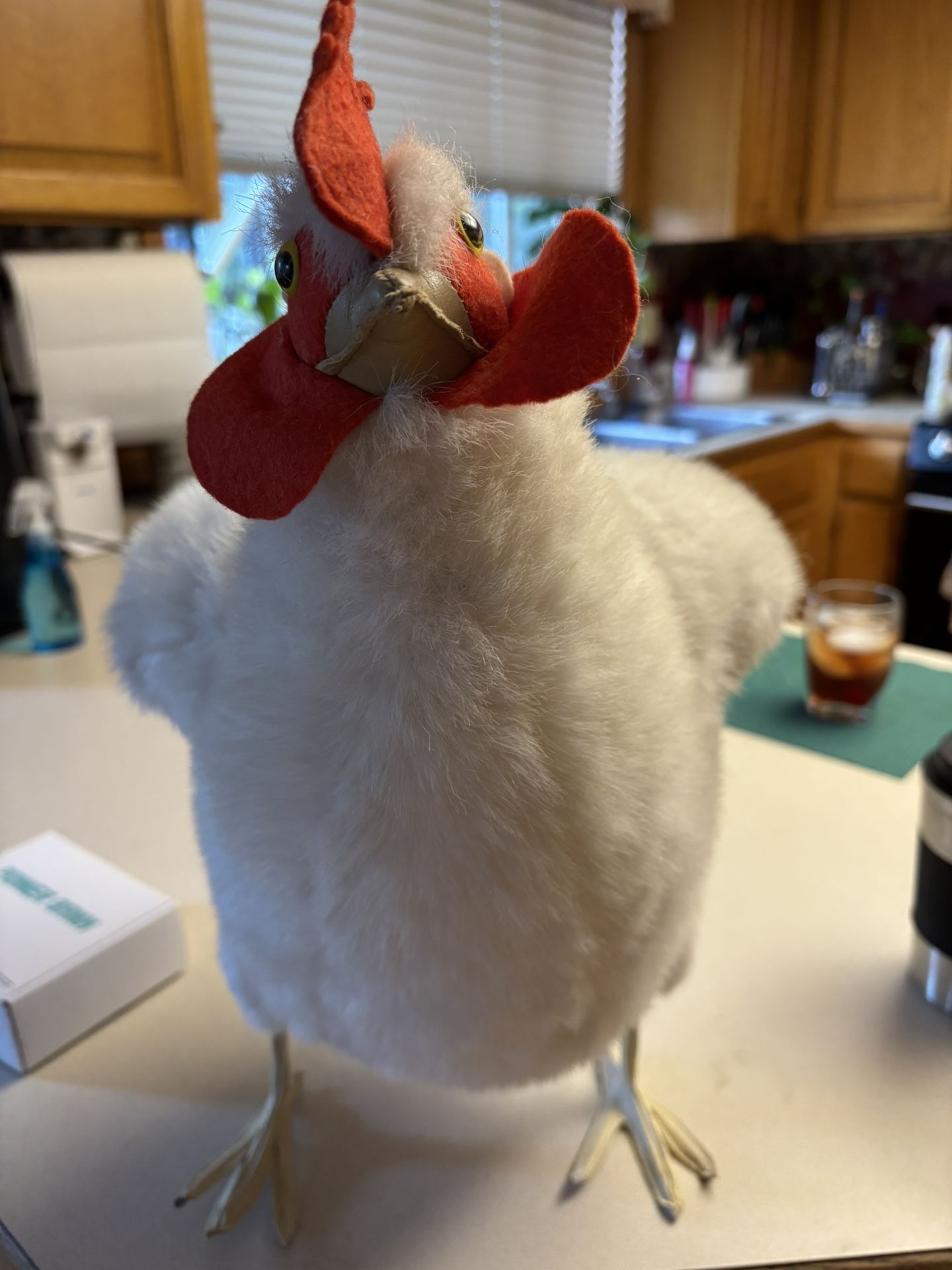 Whole Chicken
