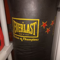 Heavy Bag $65 Used Very Good Condition