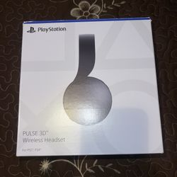 PlayStation 5 Mic