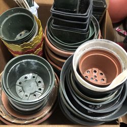 Flowers Pots Hangers Furtilizer 