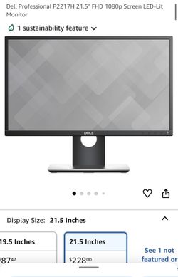 Dell Professional Monitor