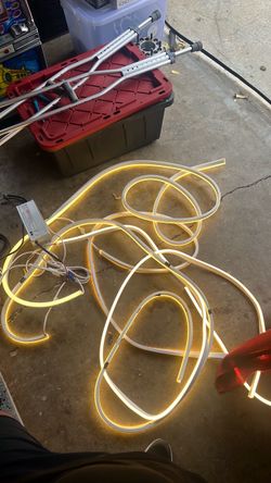 LED Neon Flex Strip Light with Driver