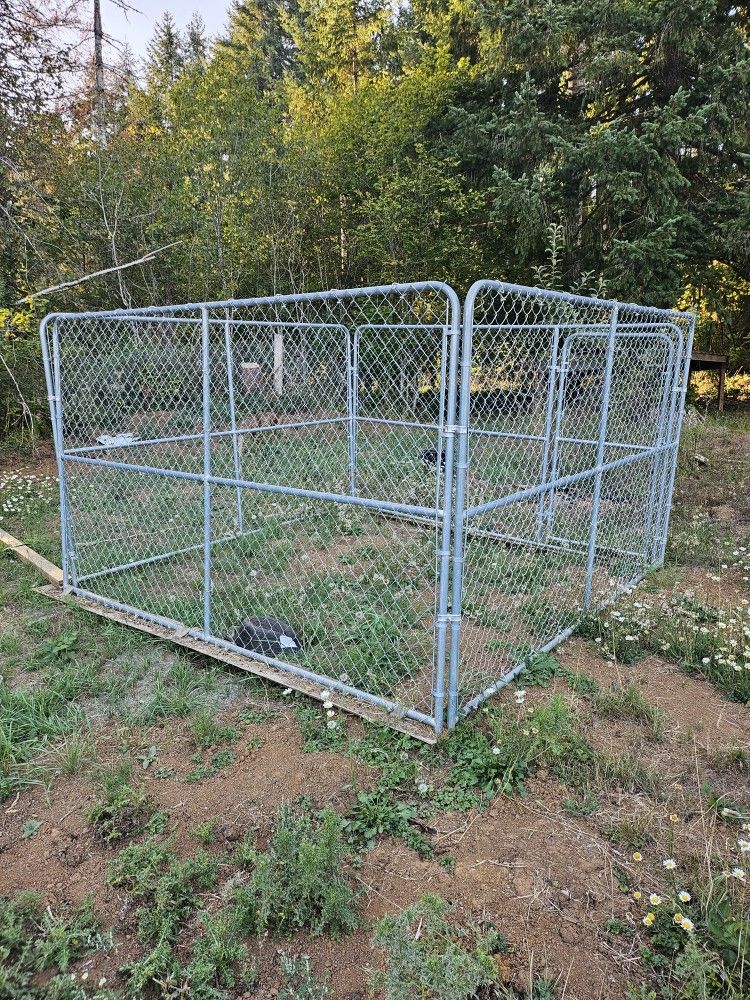 10x10x6 Kennel