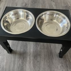 Dog Bowl