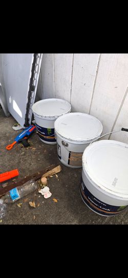 Bostik glue