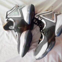 LeBron S
