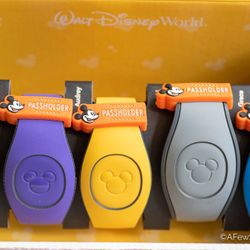 Magic Band Accessories 