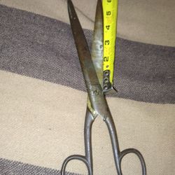 Scissors 