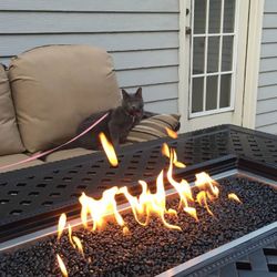 Fire Table, Sofa, And Swivel Chairs