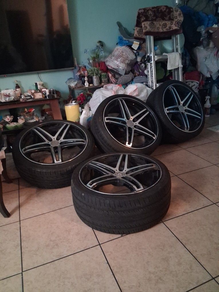 R 20 Con Yantas Todavía Con Vida De 5 Vierlos