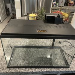10 Gallon Aquarium Starter Kit