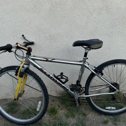 Schwinn Bike