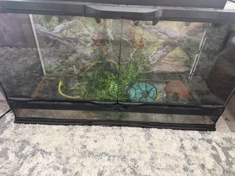 20 gallon tank
